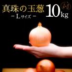 真珠の玉葱 Lサイズ10kg