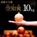 真珠の玉葱 空知黄 10kg