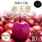 fu.... налог скала видеть . город жемчуг. лук красный лук L размер 10 шар { море. минерал .... специальный культивирование лук } a134-007