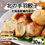 ふるさと納税 岩見沢市 北海道産鶏肉を使った手羽先餃子30個セット(5個×6袋)≪配送地域限定≫