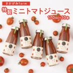 特製ミニトマトジュース 10本セット