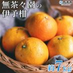 無茶々園の伊予柑 7kg