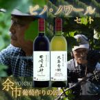葡萄作りの匠 木樽熟成ワインセット _Y034-0095