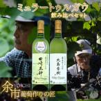 葡萄作りの匠 北島秀樹 田崎正伸 ミュラートゥルガウ飲み比…