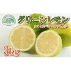 レモン 3kg