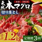 ふるさと納税 室戸市 【定期便 / 3ヶ月連続】 天然本マグロ (赤身・中とろ) 切り落とし 合計1.2kg