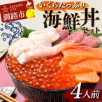 ふるさと納税 釧路市 いくら海鮮丼セット 4人用 イクラ いくら 海鮮丼 刺身 真空パック F4F-4785