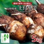 農薬不使用 自然農法 山形特産 土付里芋 5kg