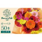 生花ガーベラミックスの花束 50本