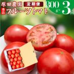 〈2026年12月下旬~ フルーツトマト