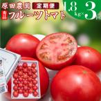 〈2026年12月下旬~ フルーツトマト