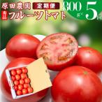 〈2026年12月下旬~ フルーツトマト