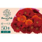生花 レッドガーベラの花束 50本