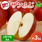 ふるさと納税 五所川原市 【2026年3月下旬発送】りんご訳あり3kgサンふじ青森不揃い