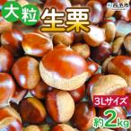 大粒生栗3Lサイズ 2キロ