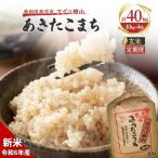 あきたこまち 10kg×4回