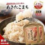 定期便 12回 あきたこまち 10kg