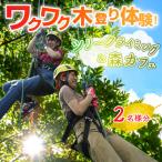 ワクワク 木登り体験 ツリークライング&森カフェ2名様分