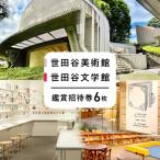 世田谷美術館および世田谷文学館の企画展