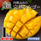 ふるさと納税 南風原町 【2026年発送】「優品」丹精込めた完熟マンゴー1kg 2玉〜3玉
