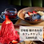甘味処 穂のあかり カフェチケット 祇をんににぎ