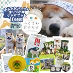 ふるさわ温泉オリジナル 秋田犬はる はなセット