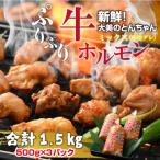 大美のとんちゃん ミックス 牛ホルモン 味噌ダレ 1.5kg