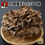 fu.... налог Oono город 9 голова дракон ....1 АО ввод 