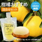 文旦とデザート 詰合せ レモンケーキ 小夏ゼリー