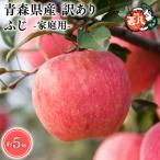 5~ 訳あり 甚八りんごふじ5kg