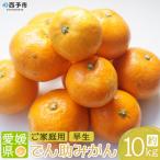 果物 くだものミカン 蜜柑 柑橘 フルーツ うんしゅうみかん