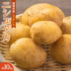じゃがいも 西豊 約10kg