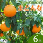 とびっきりの愛媛片山果樹園 まどんな6玉