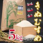 Y306 きぬむすめ5kg