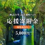 高千穂町への寄付（返礼品なし）