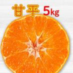 ショッピング甘平 ふるさと納税 愛南町 甘平5kg 精品 家庭用 みかん 中山農園 愛媛県 愛南町