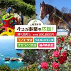一括寄附で4つの事業を応援 返礼品なし10万円コース