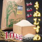 Y307 きぬむすめ10kg