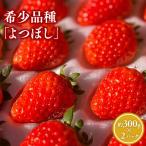 ふるさと納税 平川市 いちご よつぼし 約300g×2パック
