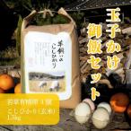 若草有精卵と無農薬こしひかり1.5kg