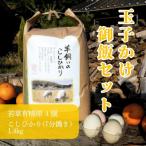 若草有精卵と無農薬こしひかり1.4kg
