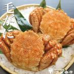 ふるさと納税 根室市 毛がに500〜600g×2尾 F-32016