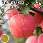 5~ 特選 甚八りんごふじ3kg