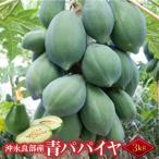 酵素 青パパイヤ 3キロ