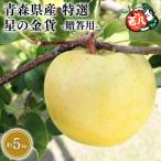 訳あり 甚八りんごシナノゴールド5kg