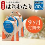 米 10kg