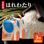 米 10kg
