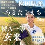 ふるさと納税 湯沢市 【米農家直送】特Aランク厳選秋田県産あきたこまち【玄米5kg】[B3-2303]