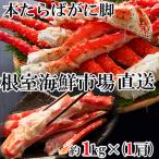 ふるさと納税 根室市 ＜12/10まで年内配送＞根室海鮮市場＜直送＞ボイルたらばがに脚約1kg×1肩 F-28031