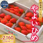 いちご やよいひめ 約270g×8パック